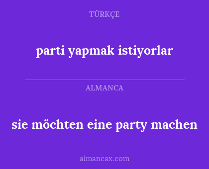 sie möchten eine party machen - parti yapmak istiyorlar