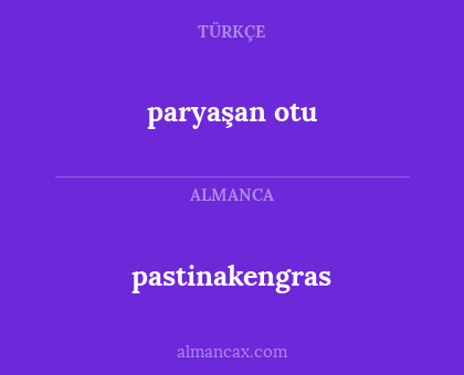 paryaşan otu - pastinakengras