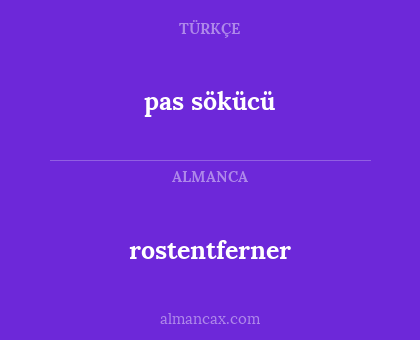 rostentferner - pas sökücü