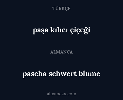 pascha schwert blume - paşa kılıcı çiçeği