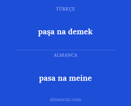 paşa na demek - pasa na meine