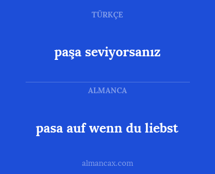 pasa auf wenn du liebst - paşa seviyorsanız