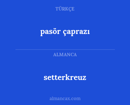 pasör çaprazı - setterkreuz