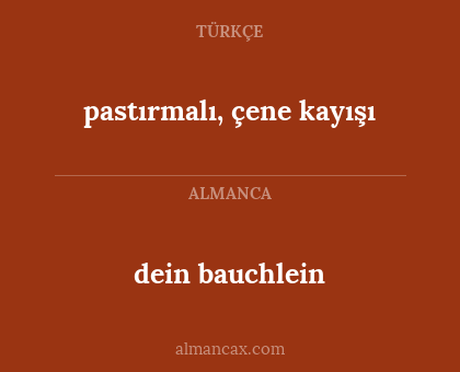dein bauchlein - pastırmalı, çene kayışı
