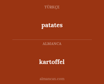kartoffel - patates