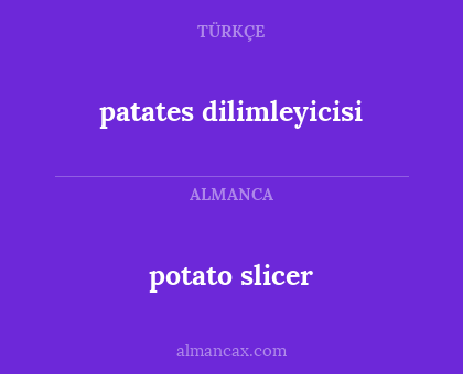 potato slicer - patates dilimleyicisi