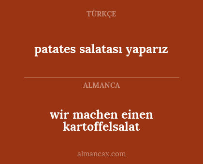 wir machen einen kartoffelsalat - patates salatası yaparız