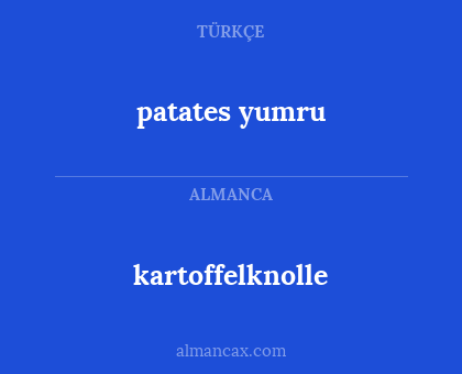 patates yumru - kartoffelknolle