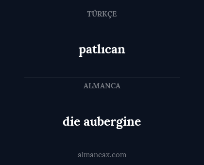 patlıcan - die aubergine