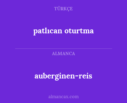 auberginen-reis - patlıcan oturtma