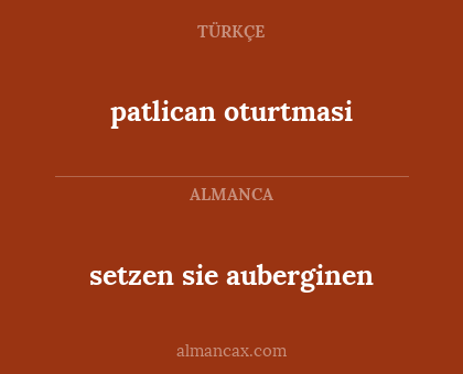 setzen sie auberginen - patlican oturtmasi