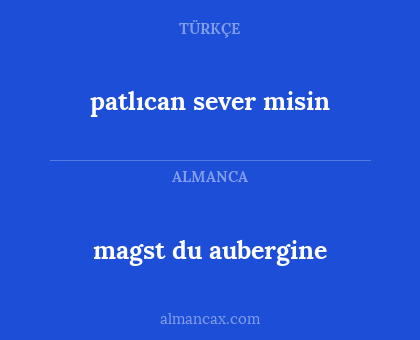 patlıcan sever misin - magst du aubergine