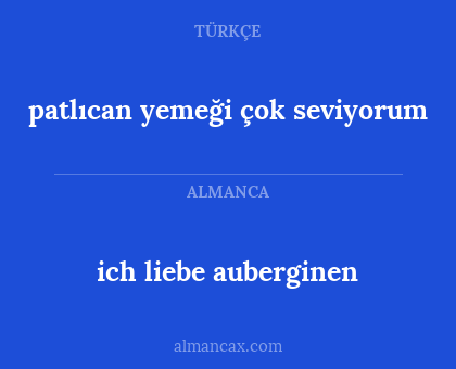 ich liebe auberginen - patlıcan yemeği çok seviyorum