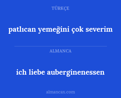 ich liebe auberginenessen - patlıcan yemeğini çok severim