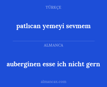patlıcan yemeyi sevmem - auberginen esse ich nicht gern
