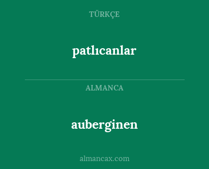 auberginen - patlıcanlar