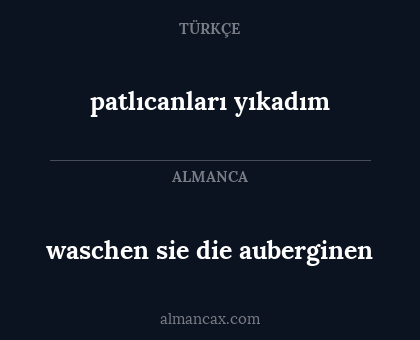 waschen sie die auberginen - patlıcanları yıkadım