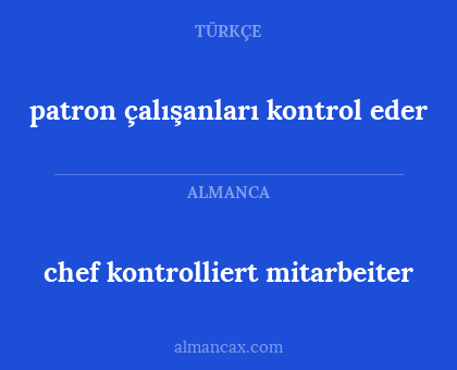 chef kontrolliert mitarbeiter - patron çalışanları kontrol eder