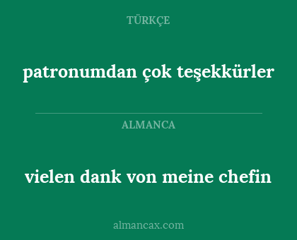patronumdan çok teşekkürler - vielen dank von meine chefin