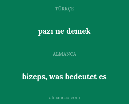 bizeps, was bedeutet es - pazı ne demek