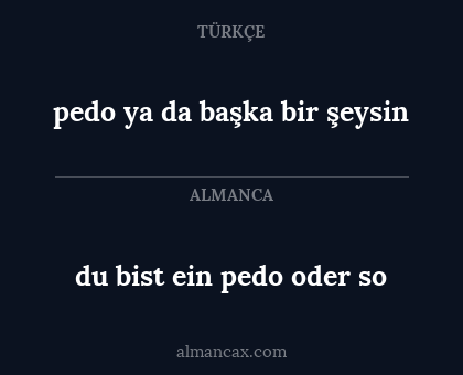 pedo ya da başka bir şeysin - du bist ein pedo oder so