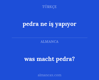 pedra ne iş yapıyor - was macht pedra?