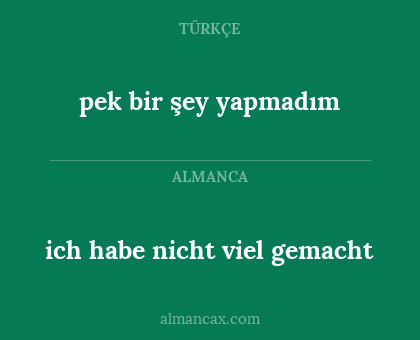ich habe nicht viel gemacht - pek bir şey yapmadım