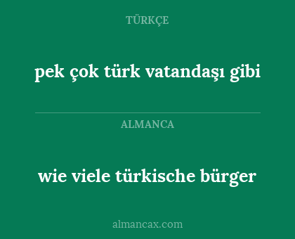 pek çok türk vatandaşı gibi - wie viele türkische bürger