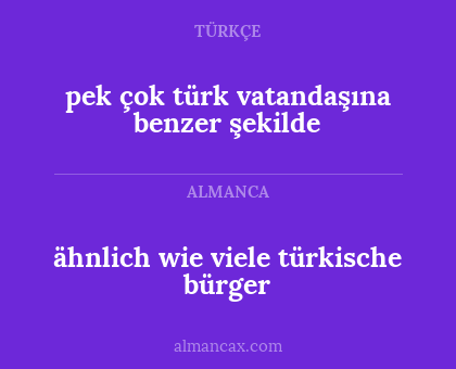 pek çok türk vatandaşına benzer şekilde - ähnlich wie viele türkische bürger