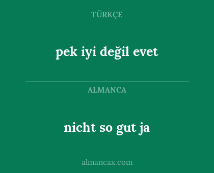 nicht so gut ja - pek iyi değil evet