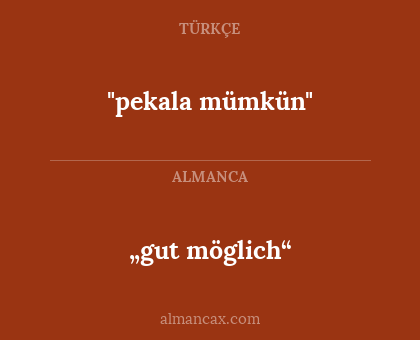 „gut möglich“ - "pekala mümkün"