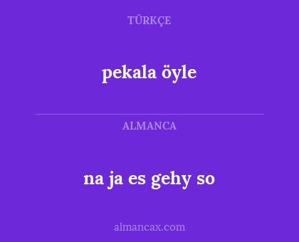pekala öyle - na ja es gehy so
