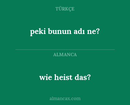 peki bunun adı ne? - wie heist das?