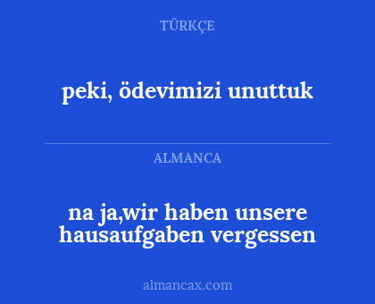 na ja,wir haben unsere hausaufgaben vergessen - peki, ödevimizi unuttuk