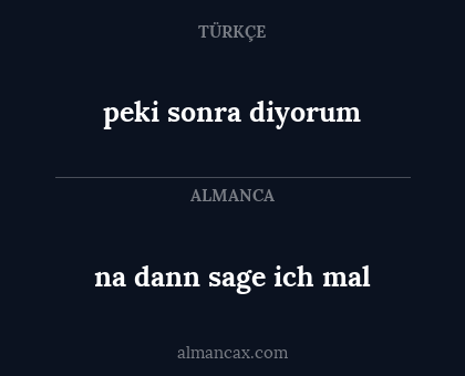 peki sonra diyorum - na dann sage ich mal