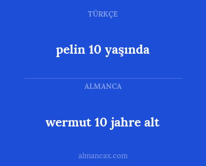 wermut 10 jahre alt - pelin 10 yaşında