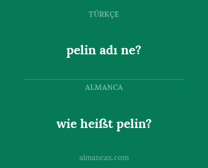 wie heißt pelin? - pelin adı ne?