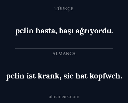 pelin ist krank, sie hat kopfweh. - pelin hasta, başı ağrıyordu.