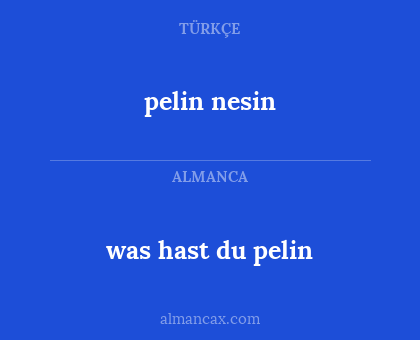 pelin nesin - was hast du pelin