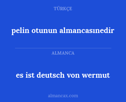 pelin otunun almancasınedir - es ist deutsch von wermut