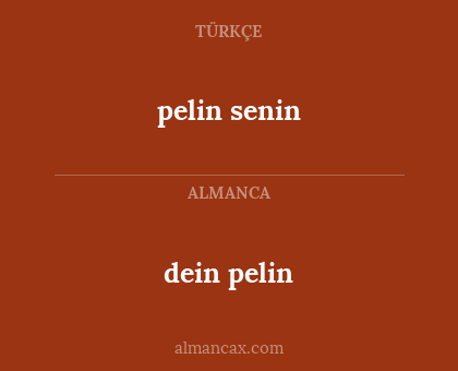 pelin senin - dein pelin