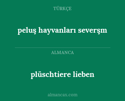 peluş hayvanları severşm - plüschtiere lieben