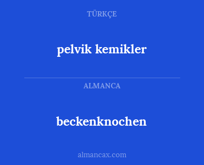 beckenknochen - pelvik kemikler