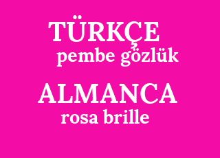 różowy+g%C3%B6zl%C3%BCk-rosa+brille.png