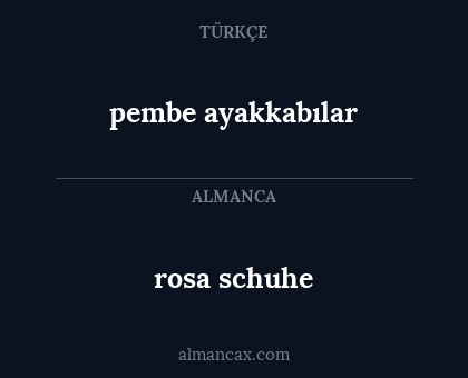 pembe ayakkabılar - rosa schuhe