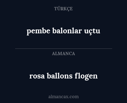 pembe balonlar uçtu - rosa ballons flogen