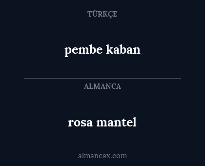 rosa mantel - pembe kaban
