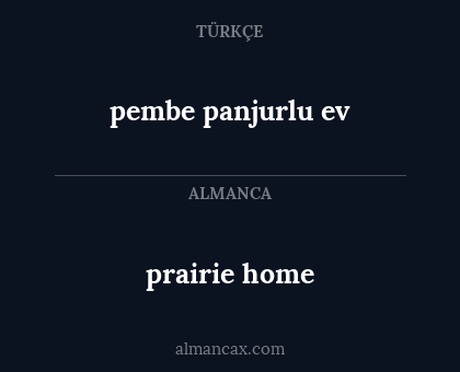 pembe panjurlu ev - prairie home