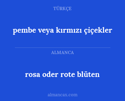 rosa oder rote blüten - pembe veya kırmızı çiçekler