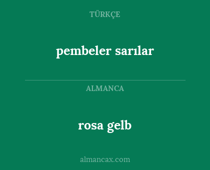 rosa gelb - pembeler sarılar